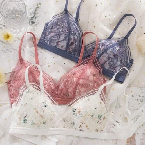Roseheart Women Fashion Blue Pink Bra Sets Lace Bralette Panties Wireless Underwear Sexy Lingerie Sets Cup A B France
