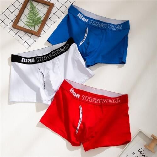 Hot Sale Men Underwear Sexy Men Briefs Mesh Breathable Comfortable Underpants U Pouch Male Panties Cueca Tanga Slip Homme