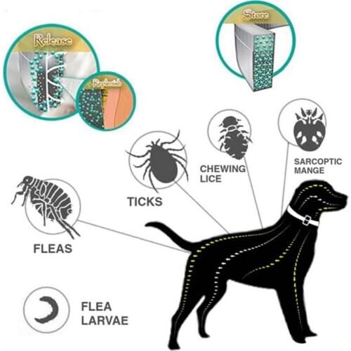 2020 Pet Calm Collar, Cat And Dog Soothe Collar, Adjustable TPR Neck Strap，relieve Anxiety, Remove Restlessness