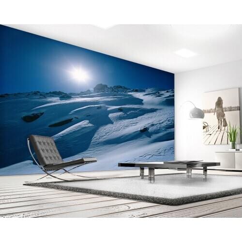 Free Shipping Mural 3d Customized Modern Polar World Landscape TV Background Living Room Study Wallpaper Conference Room Mural