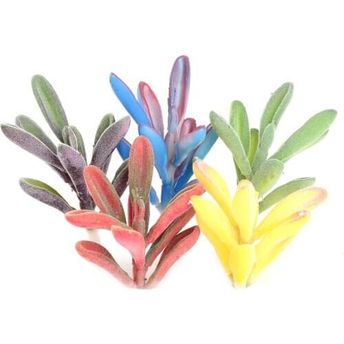 DIY Home Garden Decor Plants Artificial Succulents Plants PVC Mini Grass Artificial Plants Landscape Fake Flowers Wedding Decor
