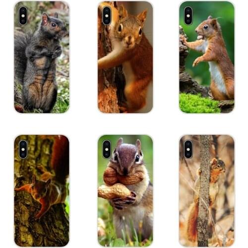 For Huawei G7 G8 P7 P8 P9 P10 P20 P30 Lite Mini Pro P Smart Plus 2017 2018 2019 TPU Case Squirrel Guinea Pig Mouse Peanut Greedy