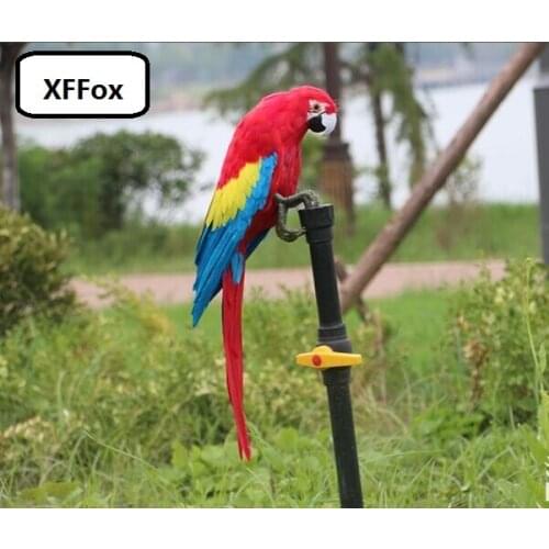 Big real life parrot model foam&feather simulation colorful parrot bird gift about 45cm xf2521