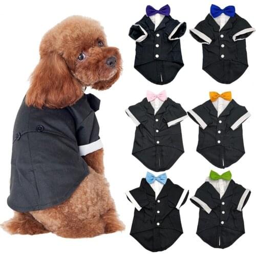 Two-leg Pretty Pet Dogs Western Suit Skin-friendly Dog Costume Button Closure for Autumn