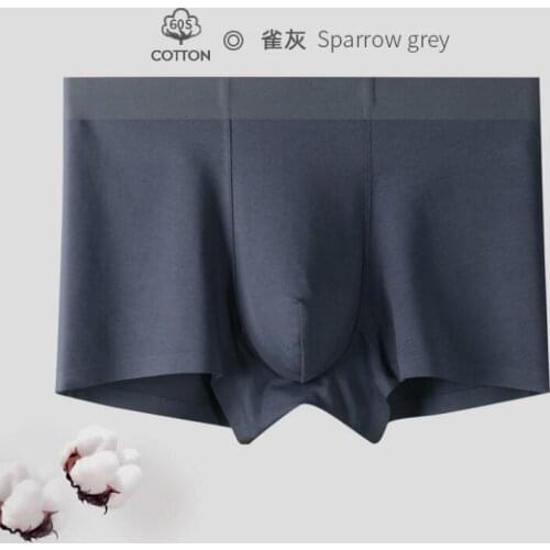 2020 New 6Pcs/Lot Men Male Panties nylon UnderPants Men Boxers seamless sexy ice silk Man Short Breathable
