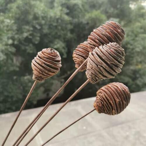 8pcs/lot,Various Natural Dried Flower Bunch,Graft Eternal plant for Wedding Party home decoration accessories,Display flowers