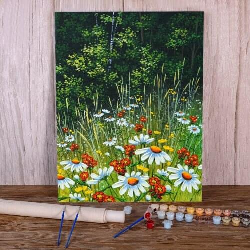 Flower Paint By Numbers Complete Kit Oil Paints 50*70 Canvas Pictures Decorative Paintings Crafts For Wholesale