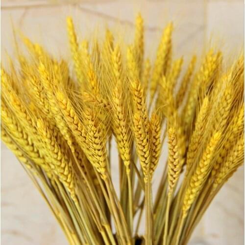 100pcs Fake Flowers Natural Dried Flowers Wheat Grass Artificial Plants Wedding Flower Bunch for Home Decor