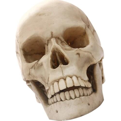 Lifesize 1:1 Resin Skull Statue Figurine Head Home Bar Decor