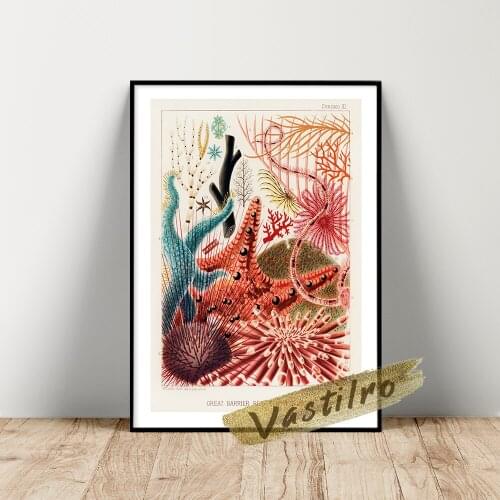 William Saville-Kent Poster, William Great Barrier Reef Australia Wall Picture, Saville-Kent Vintage Plant Illustration Picture