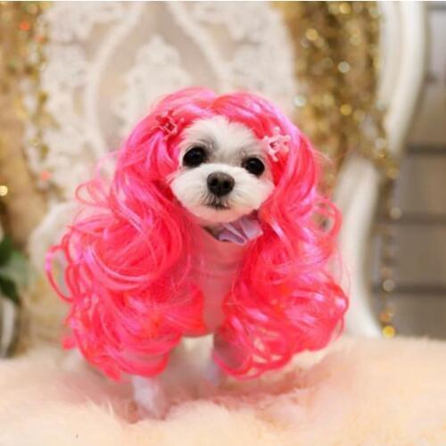 [MPK Cat Wigs] Pink Cat Wig, Pet Wig, Funny Wig, Pink Curly Hair for Pets