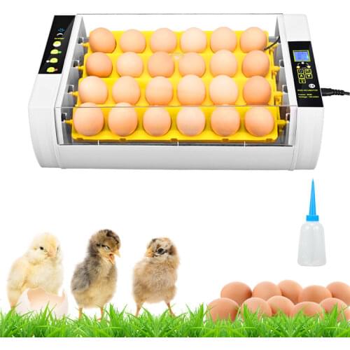 Hatching 24 Egg Incubator Transparent Fully Automatic Turner Egg Brooder with LED Light Chick Quail Goose Farm Hatchery Machine