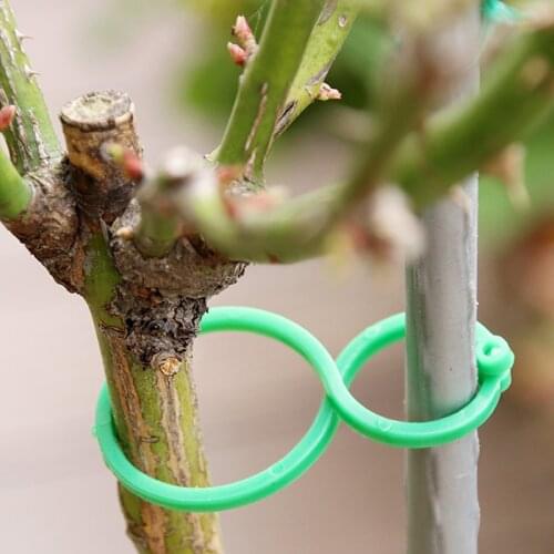 50pcs Garden Plant Holder Trellis Clips For Vine Vegetable New Tomato Growing Upright Garden Plant Stand Tool