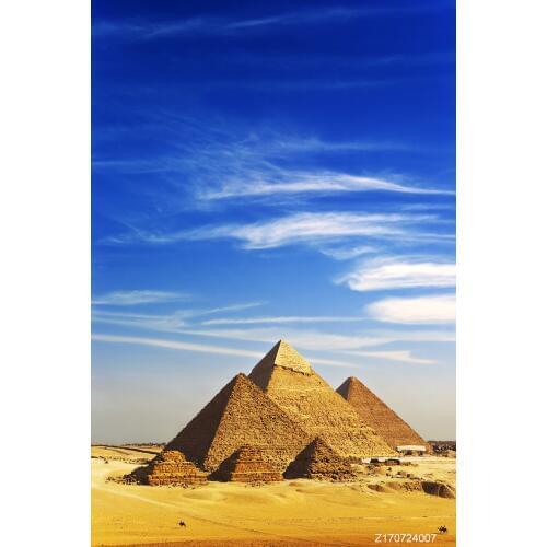 LIFE MAGIC BOX Seamless Wrinkle-free Washable Camera Backdrop Photo Backgrounds Wedding Photography Backdrops Lights on Wood