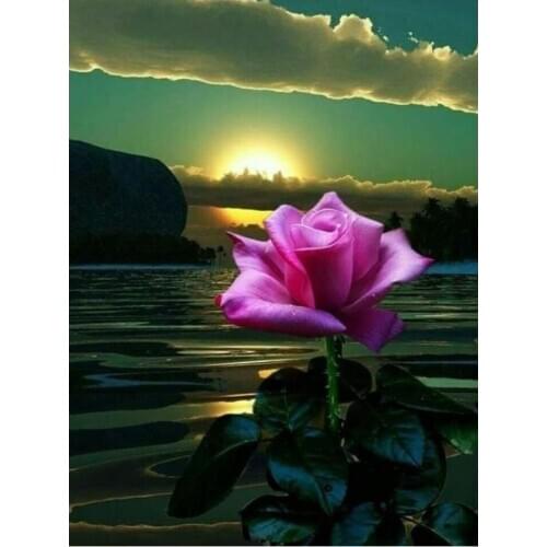 Sun rose diamond painting flower scenery full round rhinestone embroidery picture puzzle diamond art drawing wall sticker decor