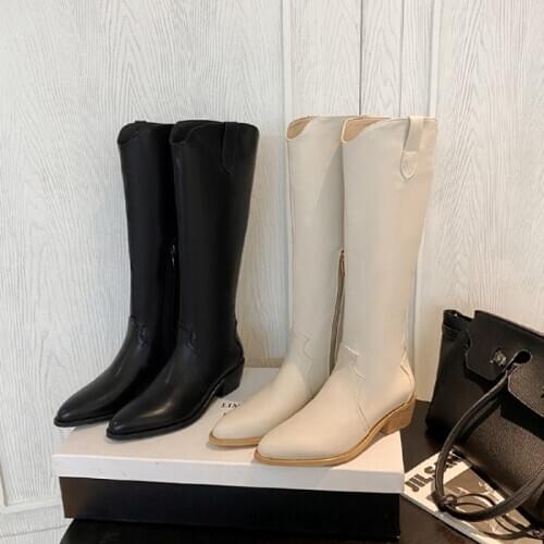 Women Boots High Heels Wedges Long Boots Lady Riding Cowboy Boots Designer Pointed Toe Knee Thigh High Boots size 31-46 d-778