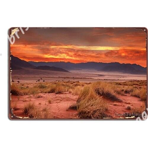 Day Is Created At Wolwedans Metal Signs Wall Plaque Home create Club Home Tin sign Posters