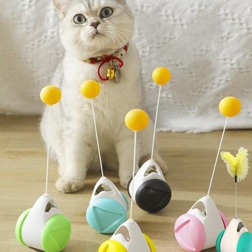Teasing Cat Toy Swinging Tumbler with Catnip Kitten Indoor Chase Balance Car fidget Toys for Cats Pet Relieve Boredom Supplies