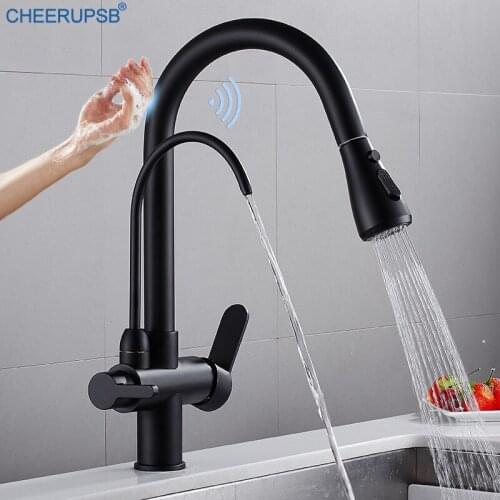 Smart Touch Kitchen Sink Filter Faucet Hot Cold Water Mixer Automatic Crane Dual Handle 360 Degree Rotation Tap Torneira Cozinha