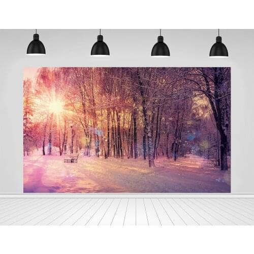 Scopiso Winter Snow Forest Background Sunshine Light Bokeh Snowfield Natural View Child Portrait Photograph Backdrop Photostudio