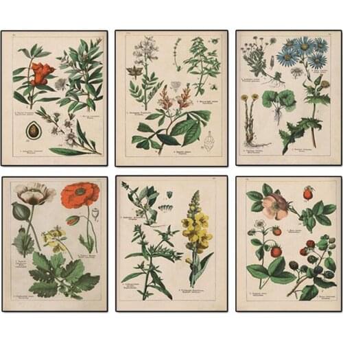 Vintage Wild Plant Poster Botanical Flower Study Living Room Hanging Painting Peony Picture Aesthetic Room Decor Canvas Paintng