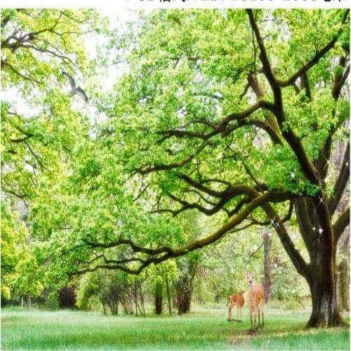 Wellyu Custom large - scale murals green trees landscape background wall non - woven wallpaper papel de parede para quarto