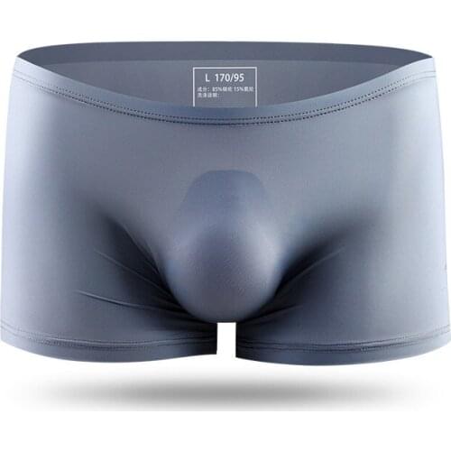 2021 New Seamless Boxer Mens Underwear Gay Solid Transparent Ice Silk Underpants Male Boxershort Men Boxers For Man Penis Homme