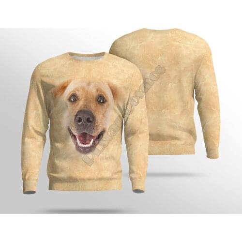 Funny Dog Golden Retriever 3d Printed Women For Men Sweater Sweatshirt Autumn Fashion Streetwear Pullover Long Sleeved Shirt 02