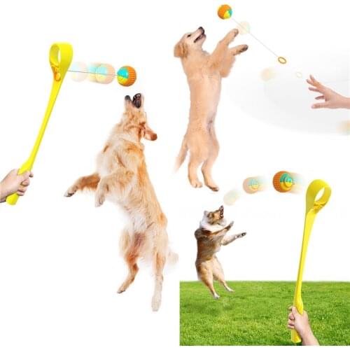 Pet Supplies Dog Throwing Cue Stick Outdoor Interaction Dogs Walking Toy Throwing Ball Artifact Interactive Toys