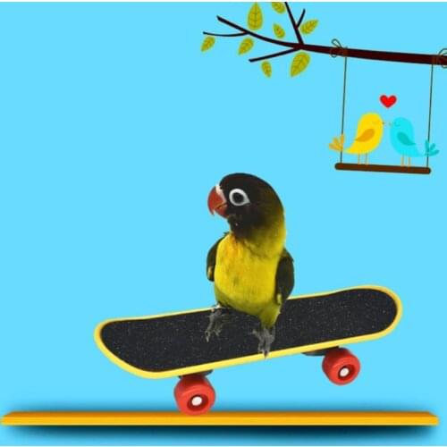 5Pcs/Set Parrot Training Toys Mini Shopping Cart Training Rings Skateboard Stand P15D