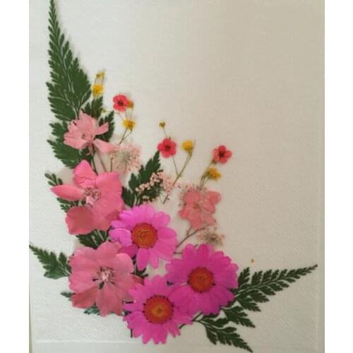 DRtrade Scrapbooking Kits