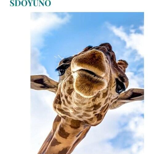 SDOYUNO 60x75cm Coloring By Numbers Giraffe DIY Painting By Numbers On Canvas Animals Frameless Digital Hand Painting Home Decor