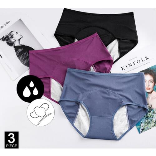 3 Pcs Leak-Proof Menstrual Underwear Panties Women Incontinence Period Pants Menstruation Warm Cotton Underpants Dropshipping