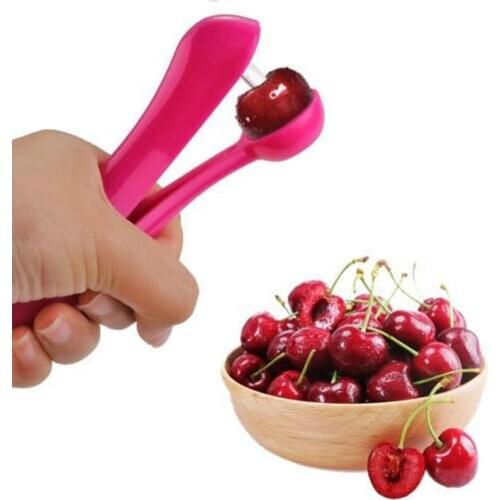 Pit Remover Easy Squeeze Grip Cherry Olive Pitter Stoner Pits Fruit Remover Core Squeeze Stone Tool