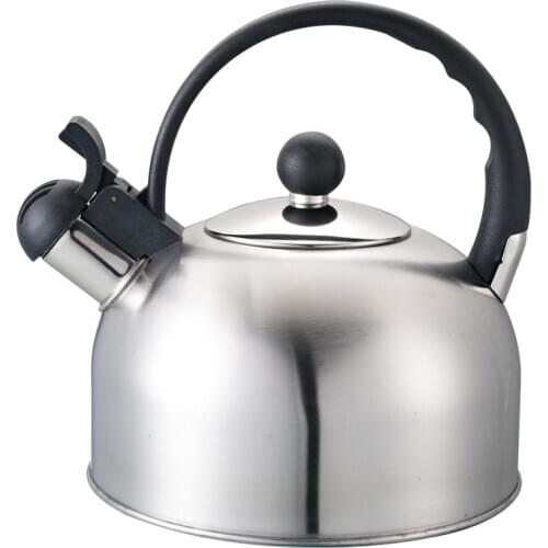 2020 New Water Bottle Fashion Durable Stainless Steel Whistle Kettle With Handle