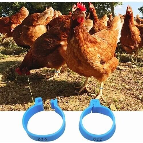 100 Pcs Inner Diameter 2cm Chicken Leg Rings Poultry Ankle Bands Number Tag Markers For Birds Game Fowl Turkey Duck