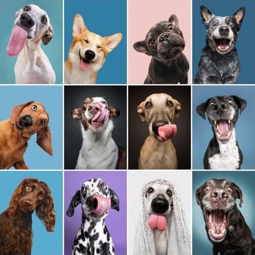 5D Diy Diamond Painting Dog Picture Cross Stitch Kit Full Diamond Embroidery Pet Rhinestone Mosaic Diy Handmade Home Decoration