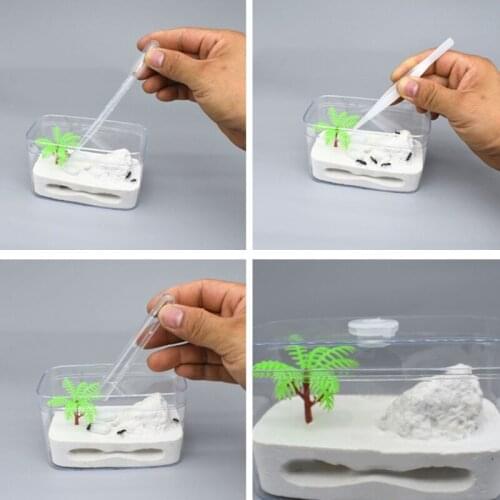 Ant Farm Ants Gypsum Habitat in Transparent Plastic Box to Better Observe Live Ants Activities Nature Learning Toy