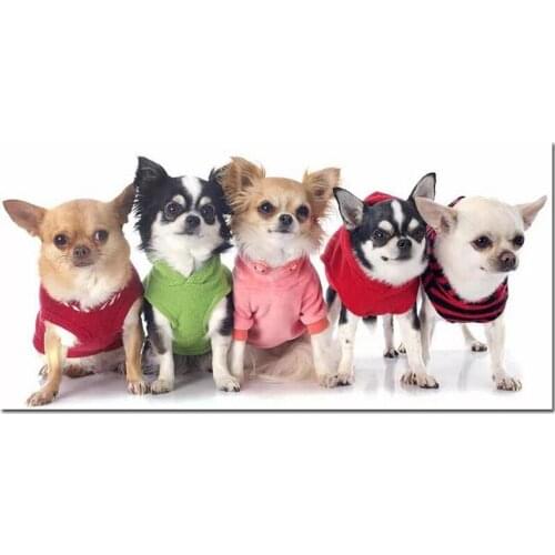 Wedding decoration large 160x80cm cute Chihuahua Diamond Painting Cross Stitch Full square round drills Mosaic EmbroideryZP-2457