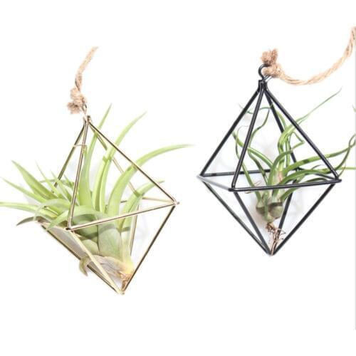 Metal Geometric Hanging Tillandsia Air Plants Rack Iron Art Rustic Flower Planter Pot Plants Rack For Home Garden