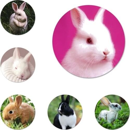 White Gray Baby Rabbits Icons Pins Badge Decoration Brooches Metal Badges For Clothes Backpack Decoration