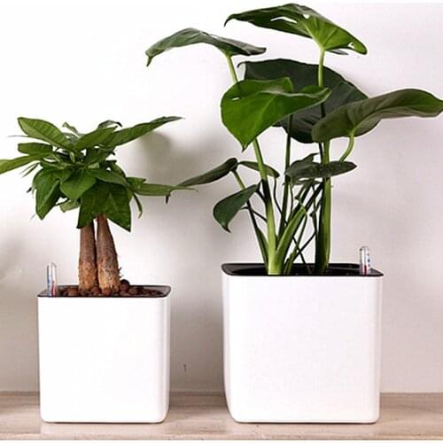 Lazy Flowerpot Automatically Absorbs Water. Green Radish Potted Water Storage Flowerpot Plastic Watering-free Square