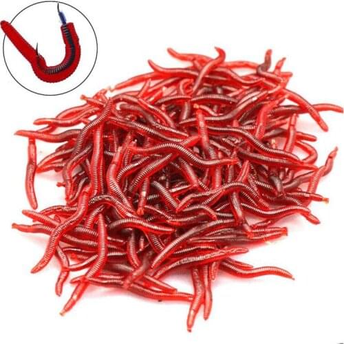 50Pcs 100Pcs Bionic Red Earthworm Silicone Soft Silicone Bait Worms Carp Fishing Lure Set Artificial Fish Tackle Baits