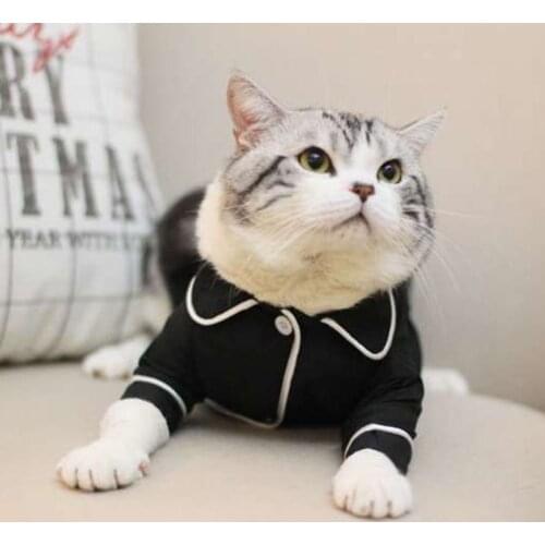 Soft Pet Cat Clothes Cotton Kitten Outfit Winter Clothing For Small Cats Costume Fashion Warm Cat Clothes Winter Pet Clothing
