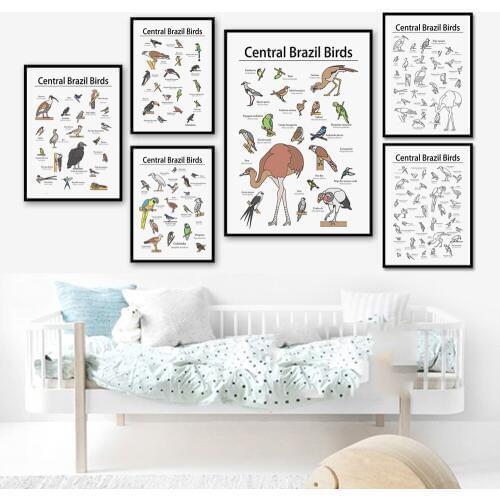 Nordic Posters Printed Wall Art Canvas Cartoon Animal Central Brazil Birds Painting Modular Picture Baby Room Home Decoration