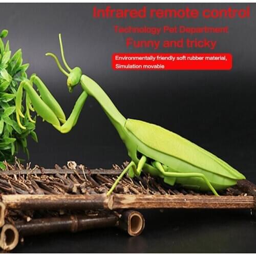 Technology pet electric remote control toy mantis model grass simulation reptile zoo novelty tricky insect toy children gift