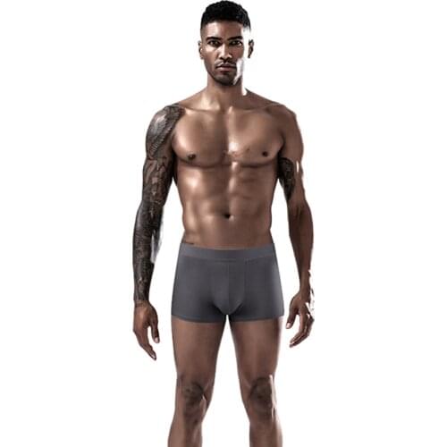 3 Pcs/Lot New Mens Underwear Soft Comfortable Charm Sexy High-Quality Fiber Men Boxer Briefs