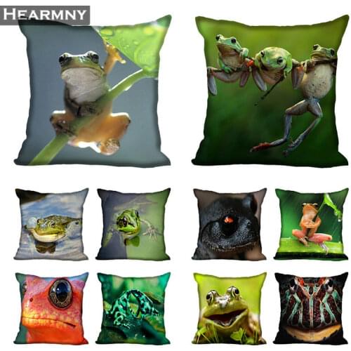 New Arrival Frog Pillow Cover Bedroom Home Office Decorative Pillowcase Square Zipper Pillow Cases Satin Soft No Fade