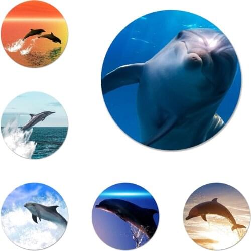 Cute Dolphin Icons Pins Badge Decoration Brooches Metal Badges For Clothes Backpack Decoration 58mm