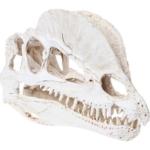 Dilophosaurus Dinosaur Skull Resin Crafts Fossil Skeleton Teaching Model Halloween Home Office Decoration Ornament